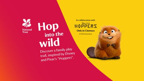 'Hop into the wild' Family Trail at Clumber